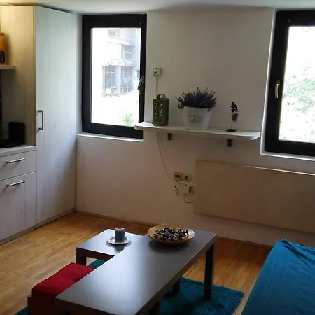 Cozy * ベオグラード